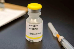 La OMS aprueba vacuna japonesa para combatir el dengue