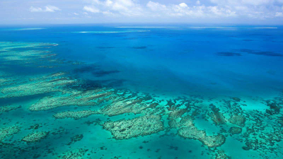 ¿Qué pasaría si República Dominicana pierde su barrera coralina?