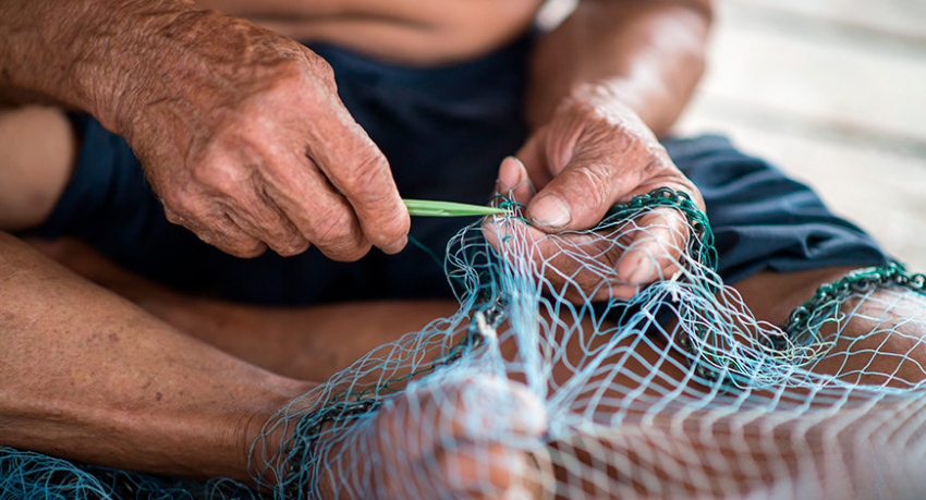 Buscan mejorar sistemas de control de la pesca de angula en República Dominicana