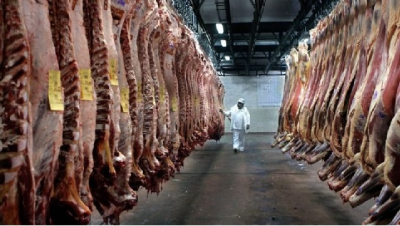 Critican la importación de carnes de donde hay “Vaca Loca” y “Fiebre Aftosa”