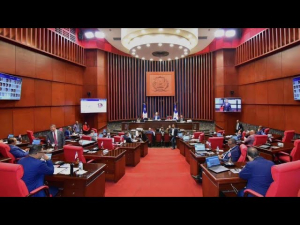 Oposición pide al Senado devolver contrato Aerodom al Gobierno