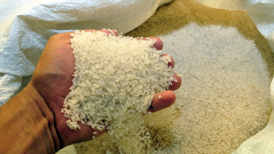 Gobierno mantiene prohibición para la exportación de arroz