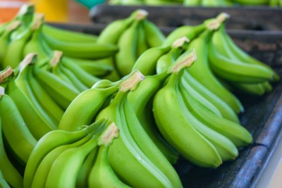 El banano dominicano pasa por mal período